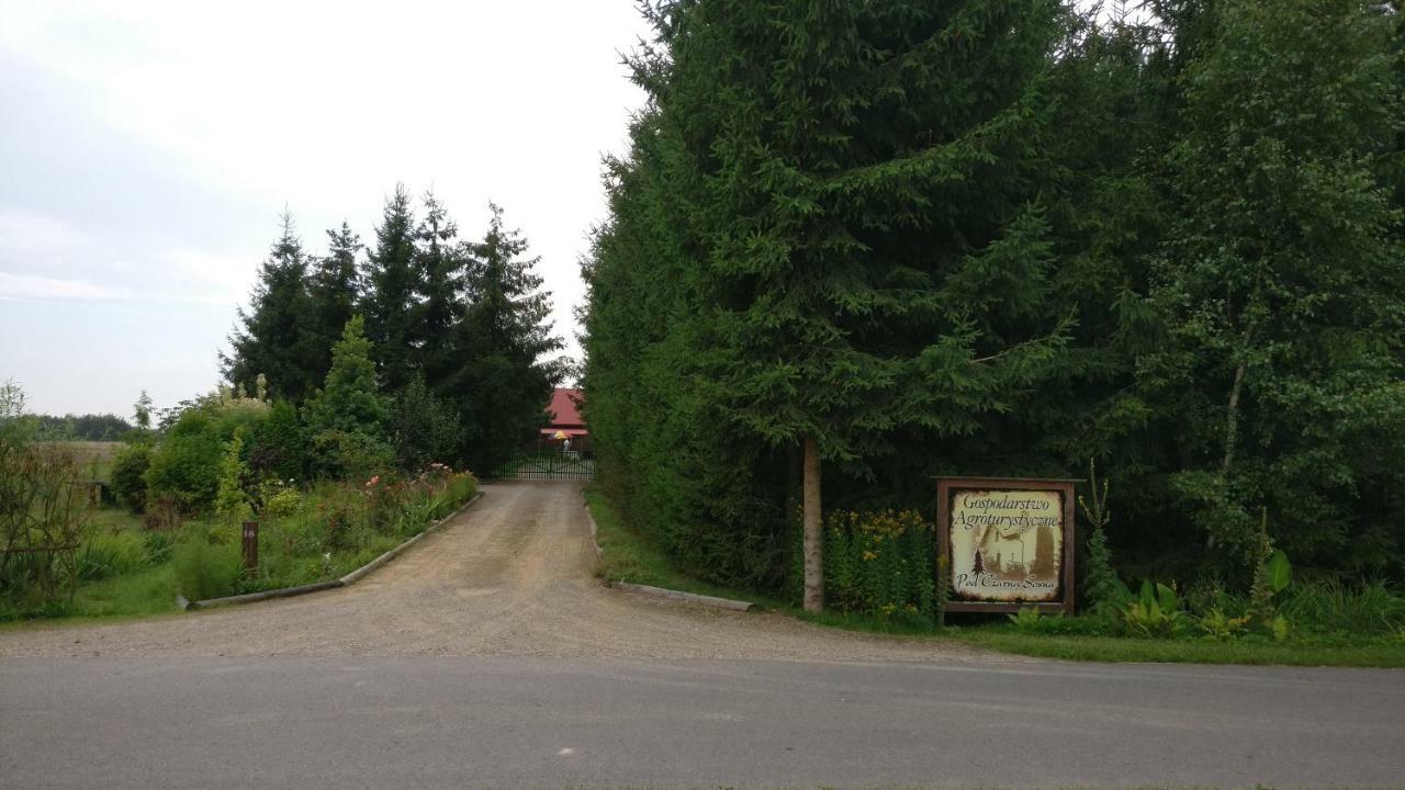 Agroturystyka Pod Czarna Sosna Bialy Lug エクステリア 写真